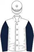 White, dark blue sleeves