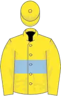 Yellow, light blue hoop