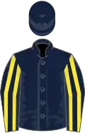 Dark blue, yellow striped sleeves, dark blue cap