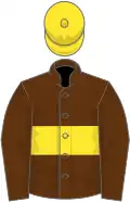 Brown, yellow hoop and cap