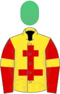 Yellow, red cross of lorraine, red sleeves, yellow armlets, emerald green cap