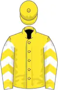 Yellow, white chevrons on sleeves