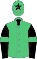 Emerald green, black sleeves, emerald green armlets, emerald green cap, black star