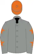 Grey, orange stars on sleeves, orange cap