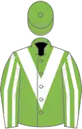 Light green, white chevron, striped sleeves