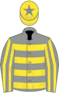 GREY and YELLOW HOOPS, striped sleeves, yellow cap, grey star