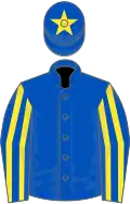 Royal blue, yellow striped sleeves, royal blue cap, yellow star