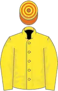 Yellow, orange and yellow hooped cap