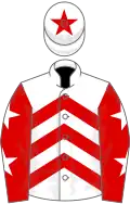 White and red chevrons, red sleeves, white stars, white cap, red star