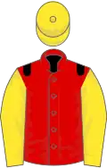 Red, black epaulets, yellow sleeves, black star, yellow cap