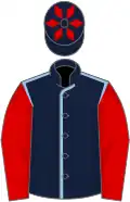 Dark blue, light blue seams, red sleeves, dark blue cap, red diamonds