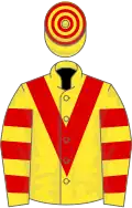 YELLOW, red chevron, hooped sleeves and cap
