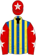 Royal blue and yellow stripes, red sleeves, white stars, red cap, white star