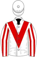 White, red chevron, striped sleeves
