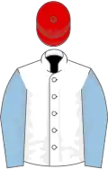 White, light blue sleeves, red cap