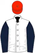 White, dark blue sleeves, scarlet cap