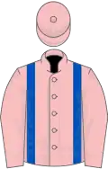 Pink, royal blue braces