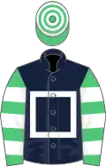 Dark blue, white hollow box, emerald green and white hooped sleeves and cap