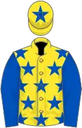 Yellow, royal blue stars, royal blue sleeves, royal blue star on cap