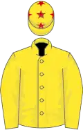 Red, yellow stars, yellow, sleeves, red stars, yellow cap, red stars