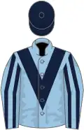 Light blue, dark blue chevron, striped sleeves, dark blue cap