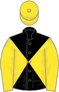 Black and yellow diabolo, yellow sleeves and cap
