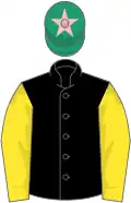Black, yellow sleeves, emerald green cap, pink star