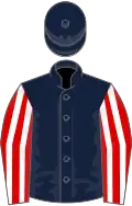 Dark blue, red and white striped sleeves, dark blue cap