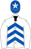 White, royal blue chevrons, white sleeves, royal blue cap, white star.