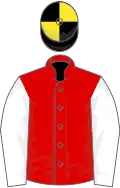 Red, White sleeves, Black and Yellow quartered cap
