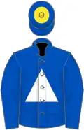 Royal blue, grey inverted chevron and white triangle, royal blue sleeves, royal blue cap, yellow disc