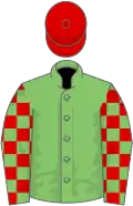 Light Green, Red checked sleeves, Red cap
