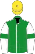 Green, white seams, white sleeves, green armlets, yellow cap