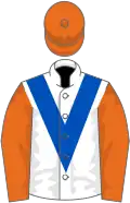 White, royal blue chevron, orange sleeves and cap