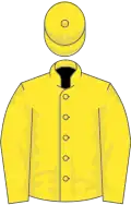 Yellow, blue emblem?