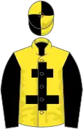 Yellow, black cross of lorraine and sleeves, quartered cap