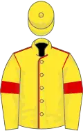 Yellow, red seams and armlets