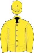 Yellow, beige seams, yellow sleeves and cap