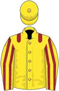 Yellow, maroon epaulets, striped sleeves