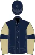 Dark blue, beige sleeves, dark blue armlets