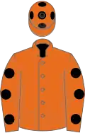 Orange, black spots on sleeves and cap