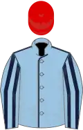 Light blue, dark blue seams, striped sleeves, white cap