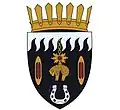 Coat of arms of Pîrlița