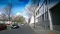 'Rebona' in spring, Treskowstrasse, Berlin-Heinersdorf (2012)