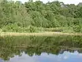 The Boddenbroek
