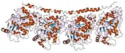1ffx: TUBULIN:STATHMIN-LIKE DOMAIN COMPLEX