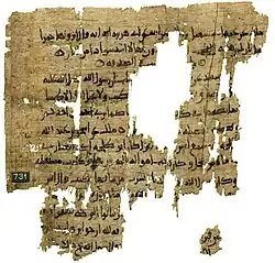 Manuscript of Malik's Muwatta in soft, flowing Naskh script