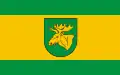 Flag of Gmina Łochów
