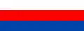 Flag of Brzesko