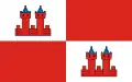 Flag of Byczyna